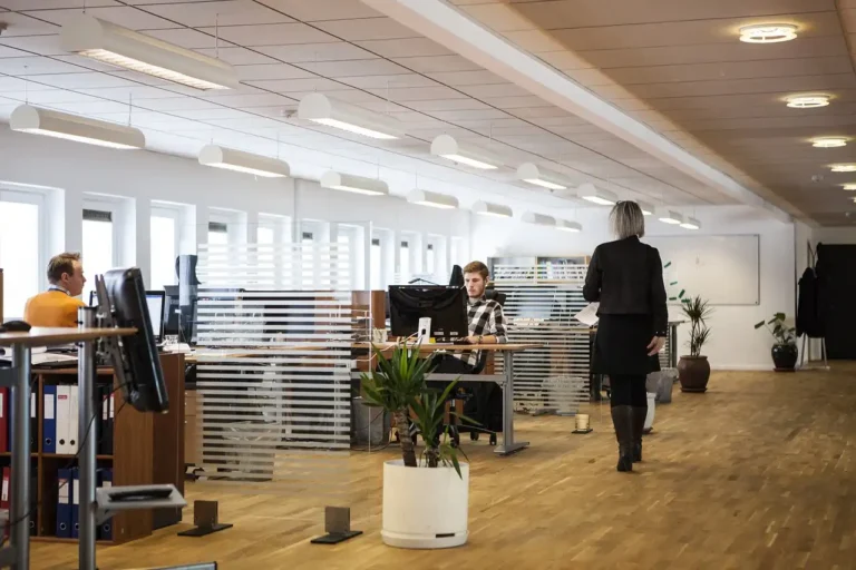 Modern office space with professionals working at their desks, representing a well-established business setup